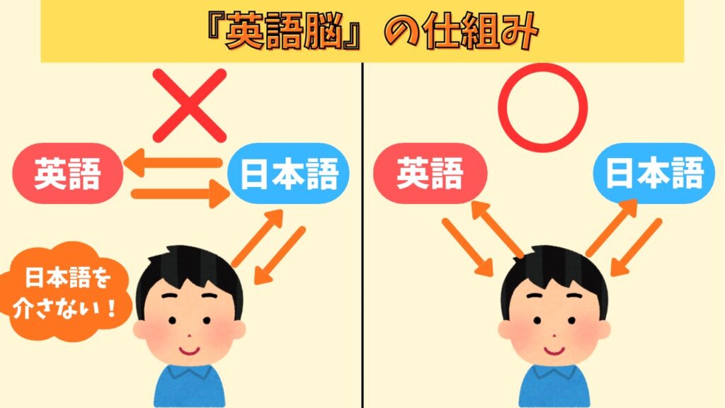 英語脳の仕組み